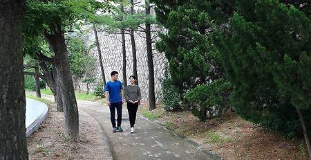 산책로 